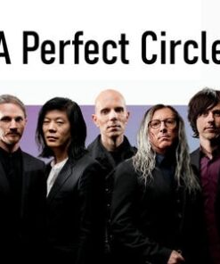 A Perfect Circle