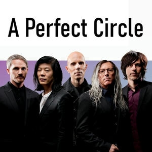 A Perfect Circle