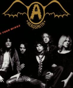 Aerosmith