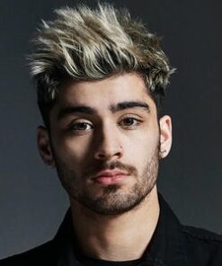 Zayn Malik